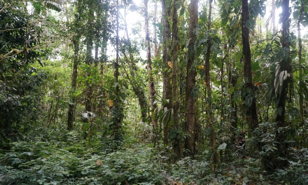 DSC02965